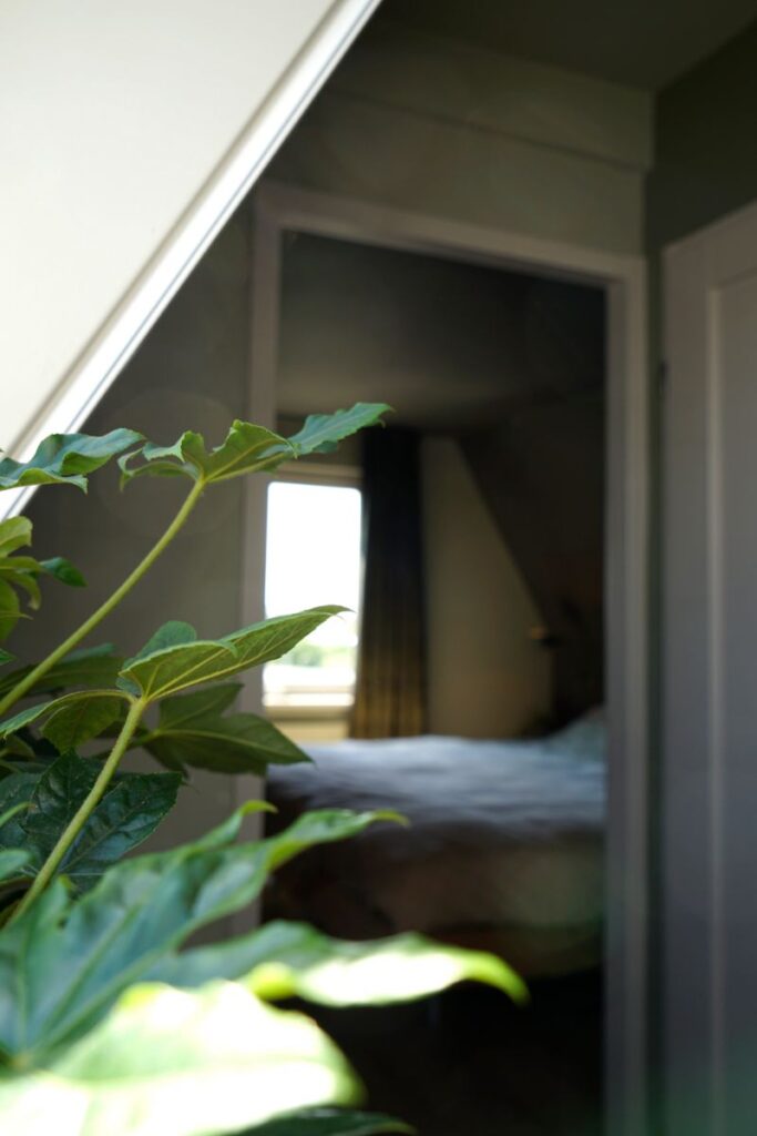 Doorkijk naar de slaapkamer met groene muren.