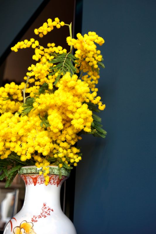 Blauwe muur met een gele plant in een antieke vaas.