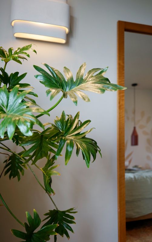 Plant met doorkijk naar de mooie wandlamp.