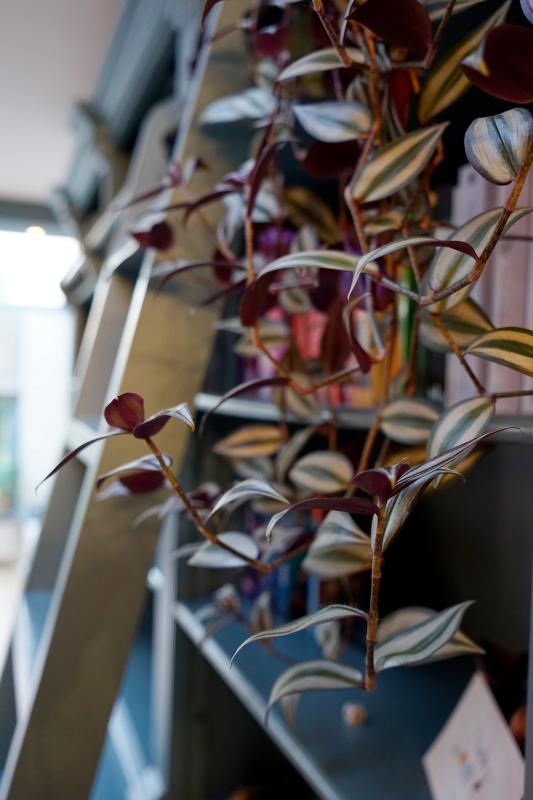 Detail hangplant in de wandkast.