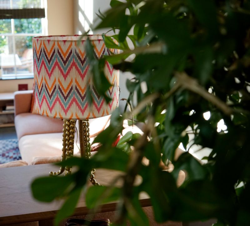 Planten in gekleurd interieur.