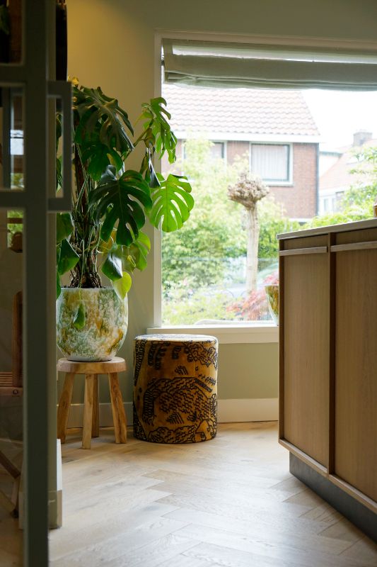 Grote kamerplant in gekleurde pot. Hierbij een gele poef.